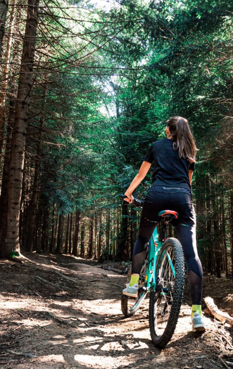 Zorganizowana wyprawa rowerowa