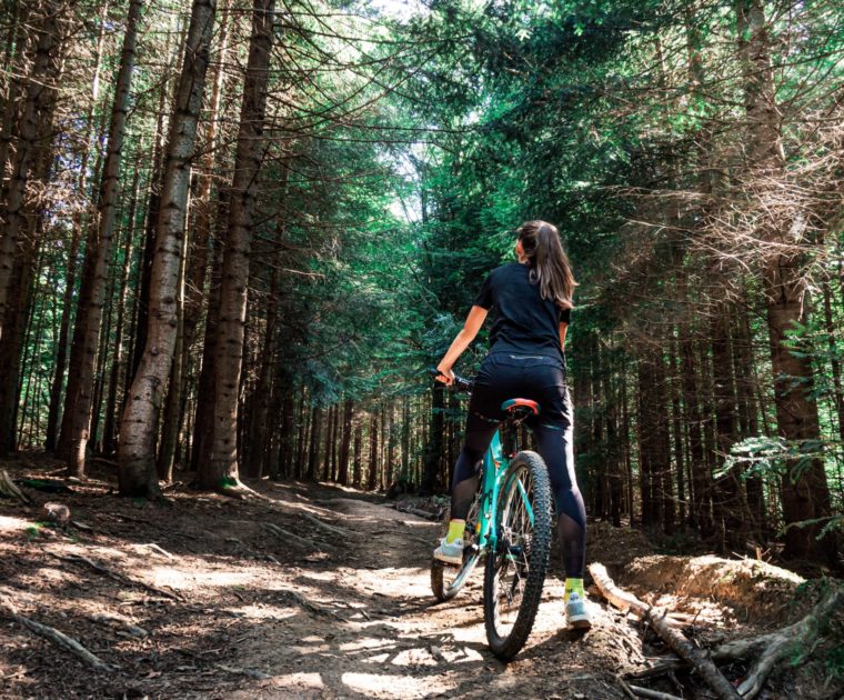 Zorganizowana wyprawa rowerowa